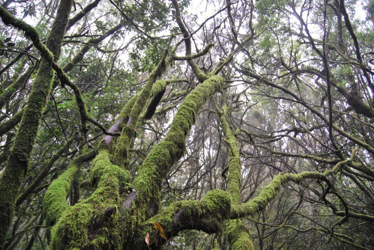 Gurugu 2 Διαμέρισμα San Sebastián de la Gomera Εξωτερικό φωτογραφία